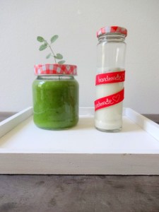 Gurken-Süppchen Kokos-Minz-Rahm